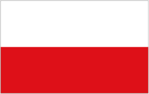 Obcokrajowcy o Polakach (Wersja Polska)
