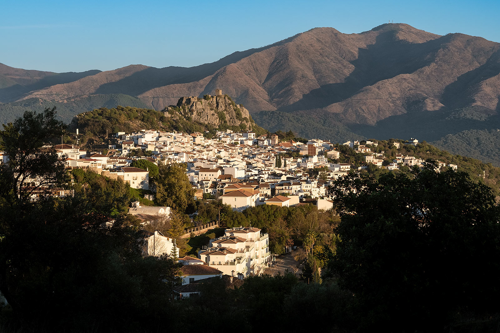 Gambas pil pil w la Taberna del Zorro 1